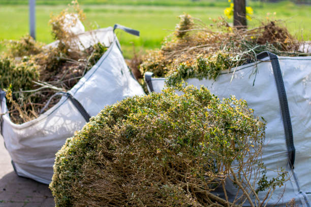 Best Appliance Removal Near Me  in Trempealeau, WI